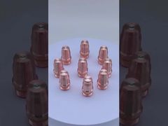 ЭЛЕКТРОД F006